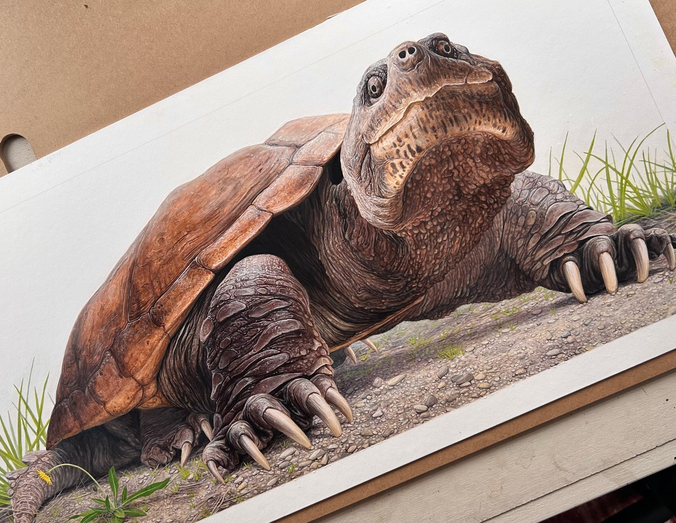 Something Wild: Sy & Fire Chief, the 42-lb. snapping turtle